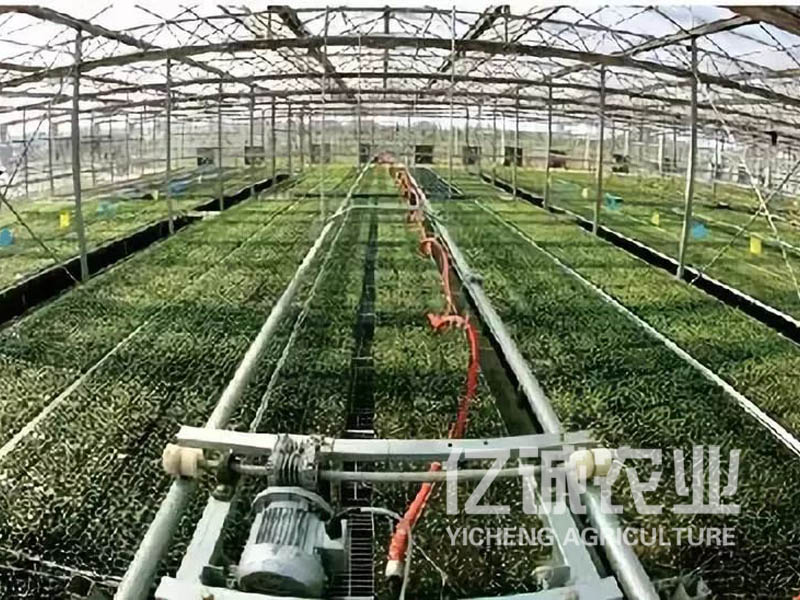 新型智能溫室大棚采用微灌的好處